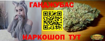 гашик Будённовск