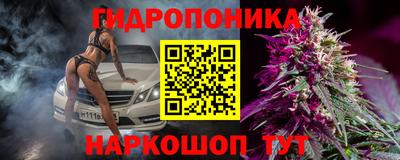 гашик Будённовск