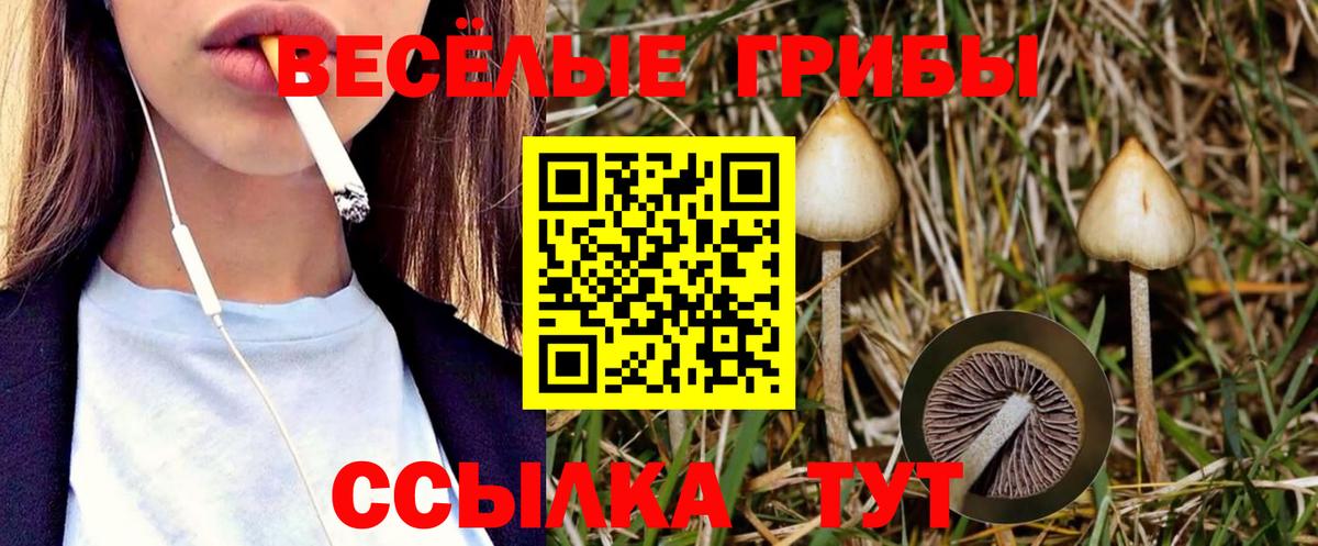 Псилоцибиновые грибы Psilocybine cubensis  наркотики  Сургут  Вход с VPN 
