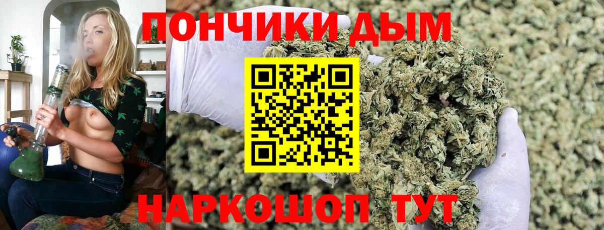 Бошки Шишки ГИДРОПОН Сургут